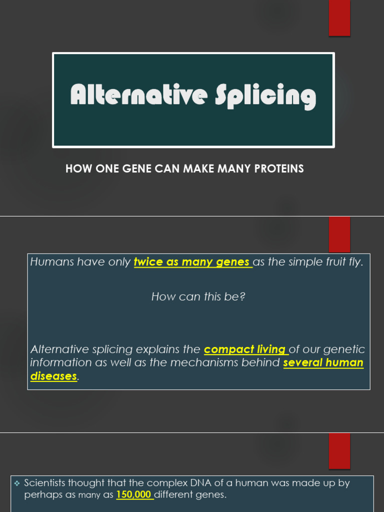 Lecture 08 Alternative Splicing (1) - 1 | PDF | Alternative Splicing ...