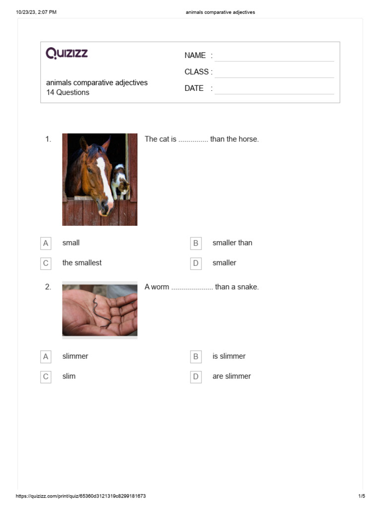Animal Comparative Adjectives Quiz | PDF | Mammals | Mammal Ecology