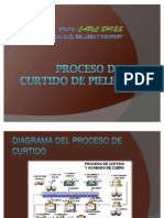 Procesodecurtidodepieles 110402164222 Phpapp02