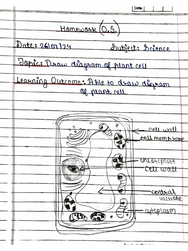 Homework OS 7C | PDF