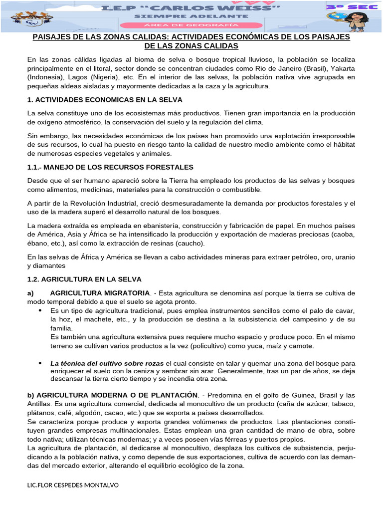 Actividades Económicas en Zonas Cálidas | PDF | Agricultura | Selva