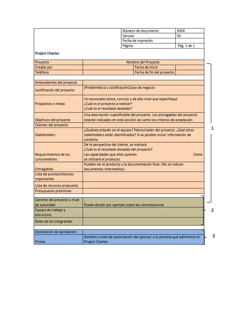Project Charter: Estructura y Contenido | PDF | Arte