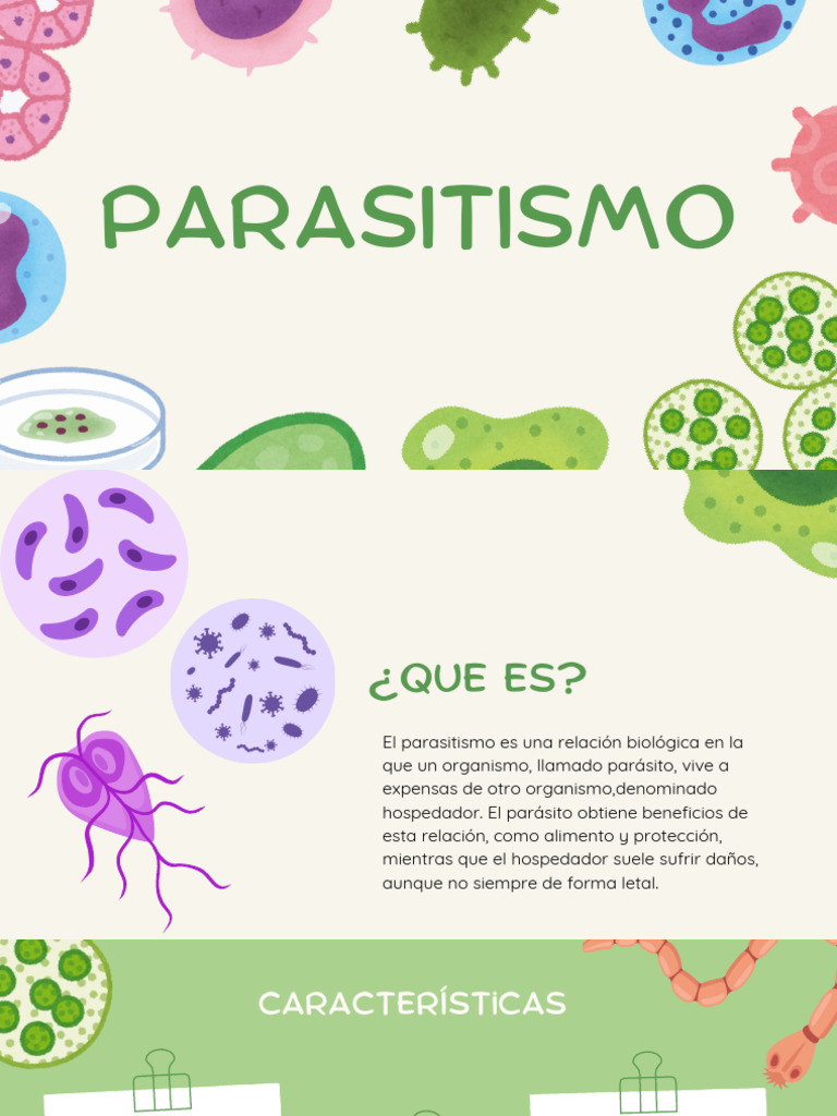 Presentación Diapositivas Proyecto de Biología Ciencia Ilustrativo ...