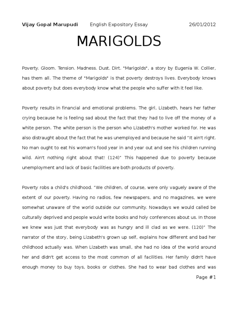 Sample expository essay pdf image