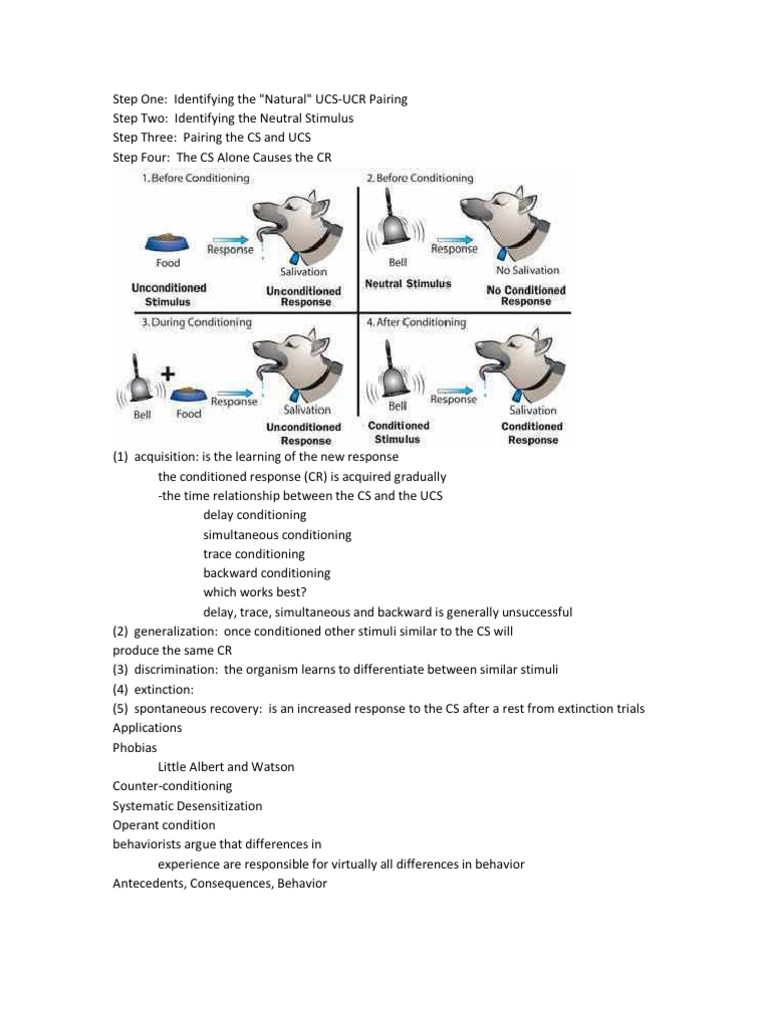Step One | PDF