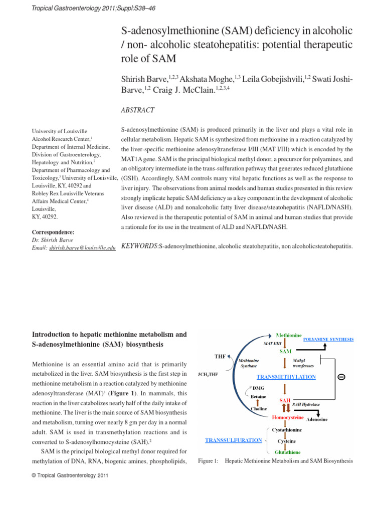 SAM Deficiency in Liver Diseases | PDF | Cirrhosis | Hepatitis
