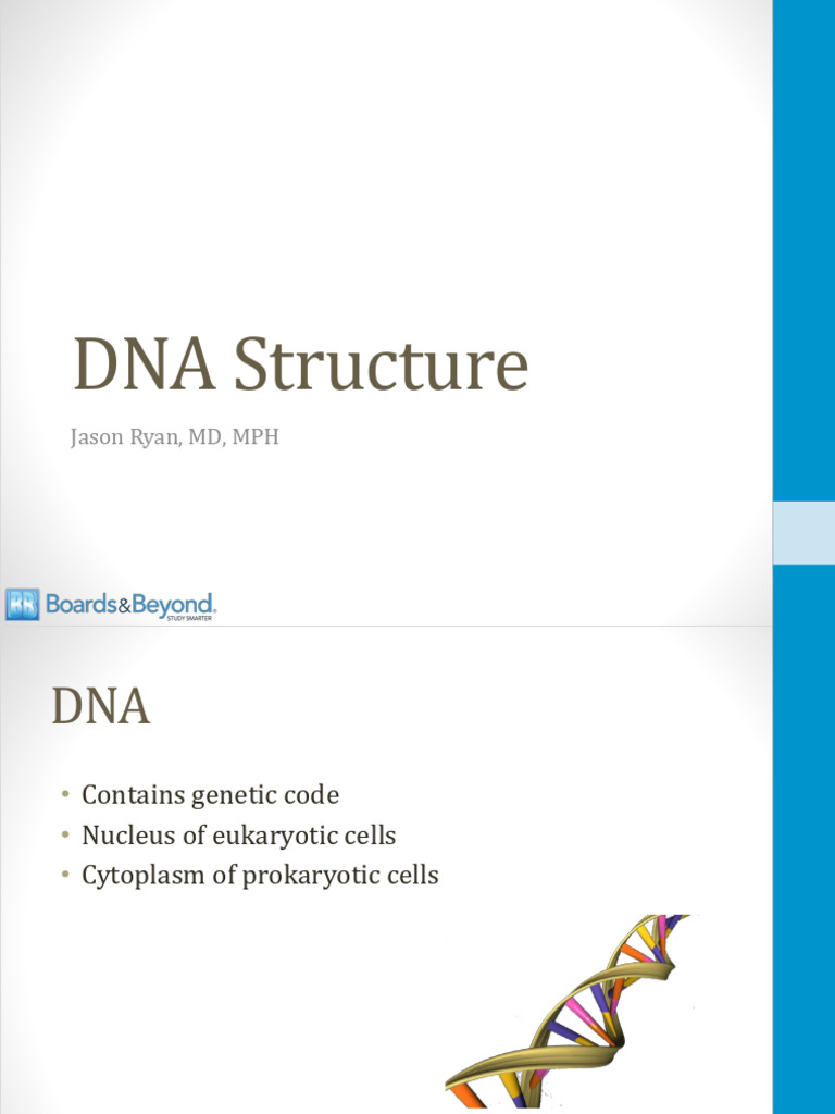 Understanding DNA Structure and Function | PDF | Nucleotides | Histone