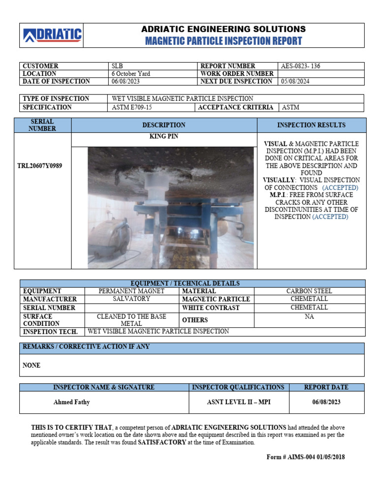 MPI UNIT TRL20607Y0989 King Pin Aug 2023 | PDF | Applied And ...