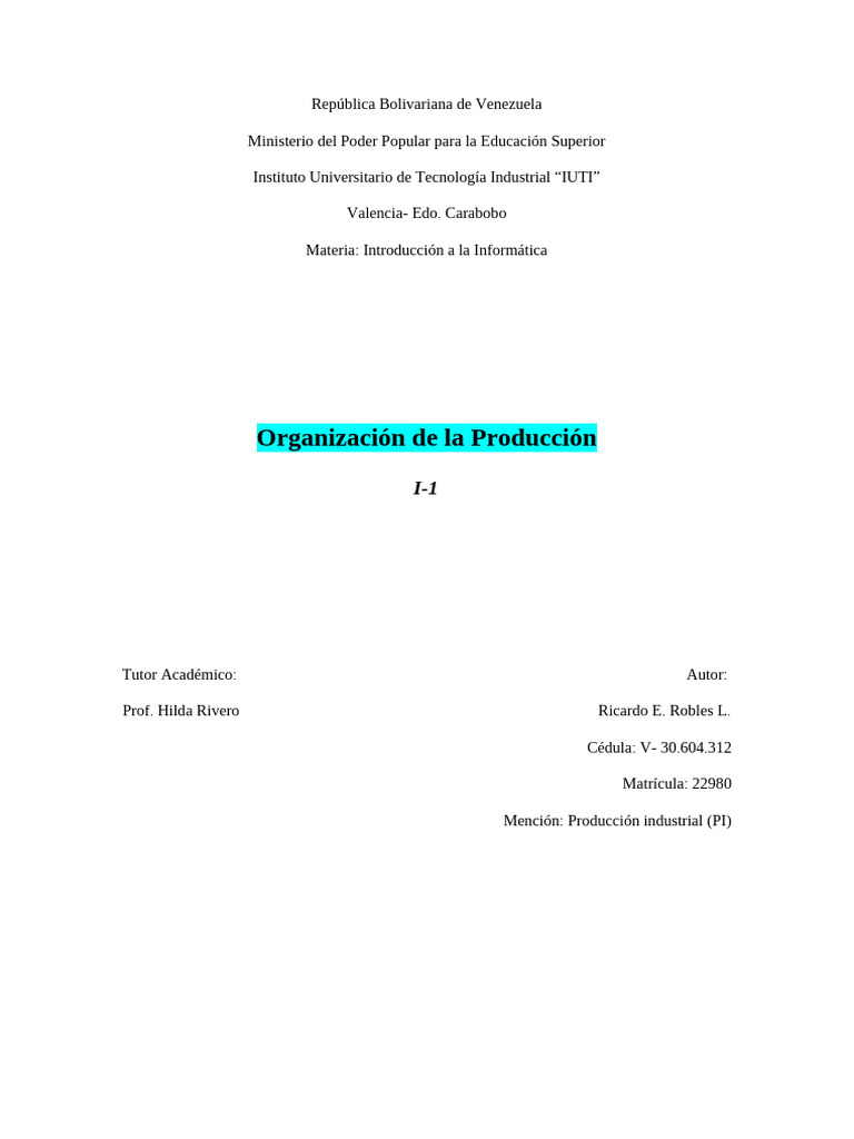 Organización y Estructura Empresarial | PDF | Planificación | Business