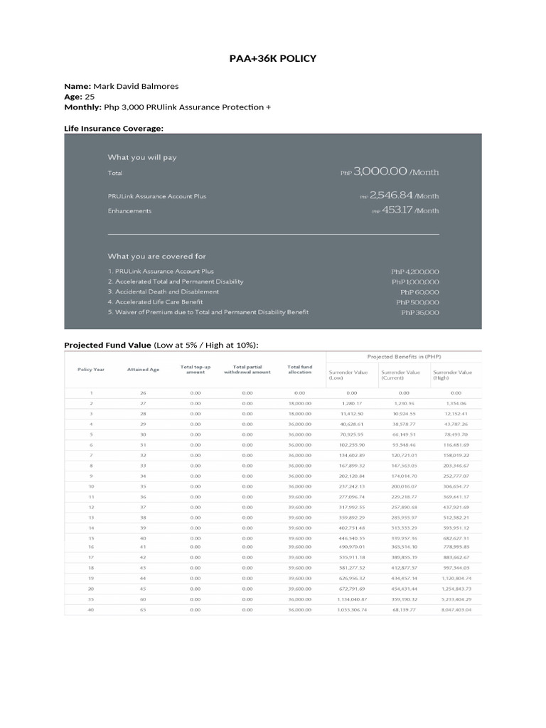 PAA+ Life Insurance Policies Overview | PDF
