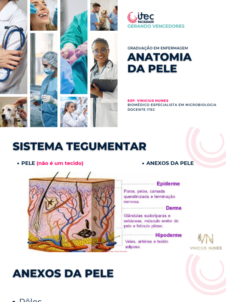 Anatomia Da Pele Pdf Osso Tecido Conjuntivo