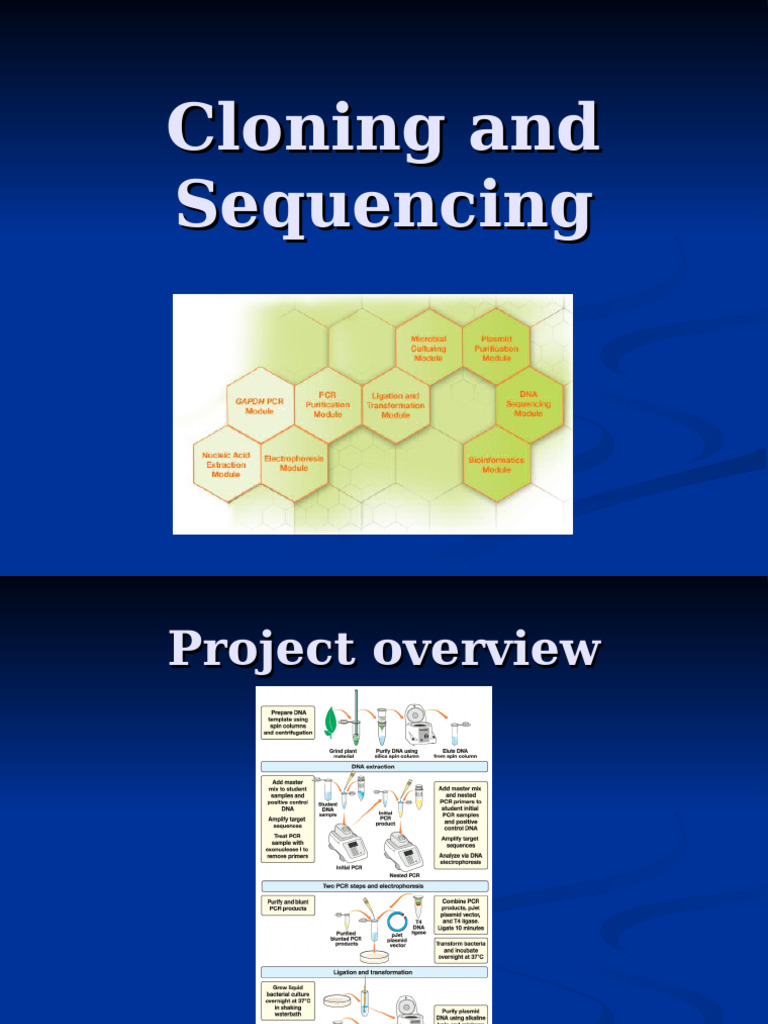 Cloning and Sequencing | PDF | Primer (Molecular Biology) | Dna Sequencing