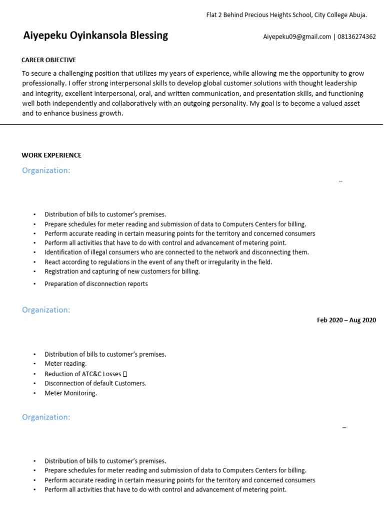 aiyepeku-oyinkansola-blessing-organization-pdf-business