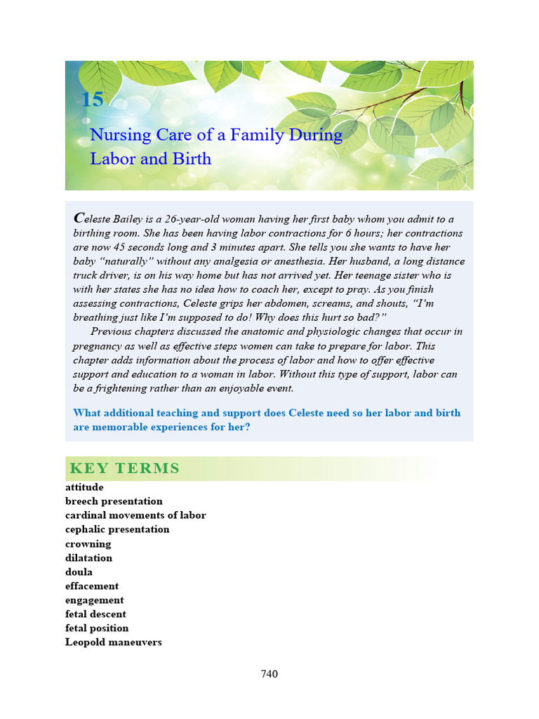 Nursing Care During Labor and Birth | PDF | Childbirth | Uterus