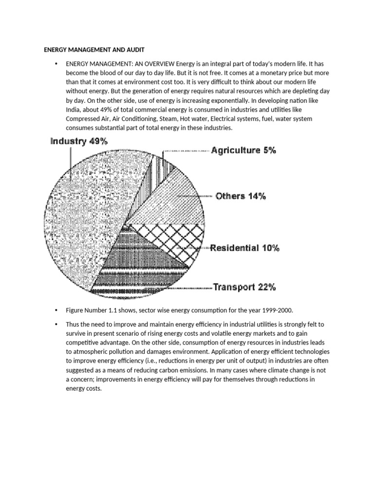 Energy Management and Audit Guide | PDF | Efficient Energy Use | Energy ...