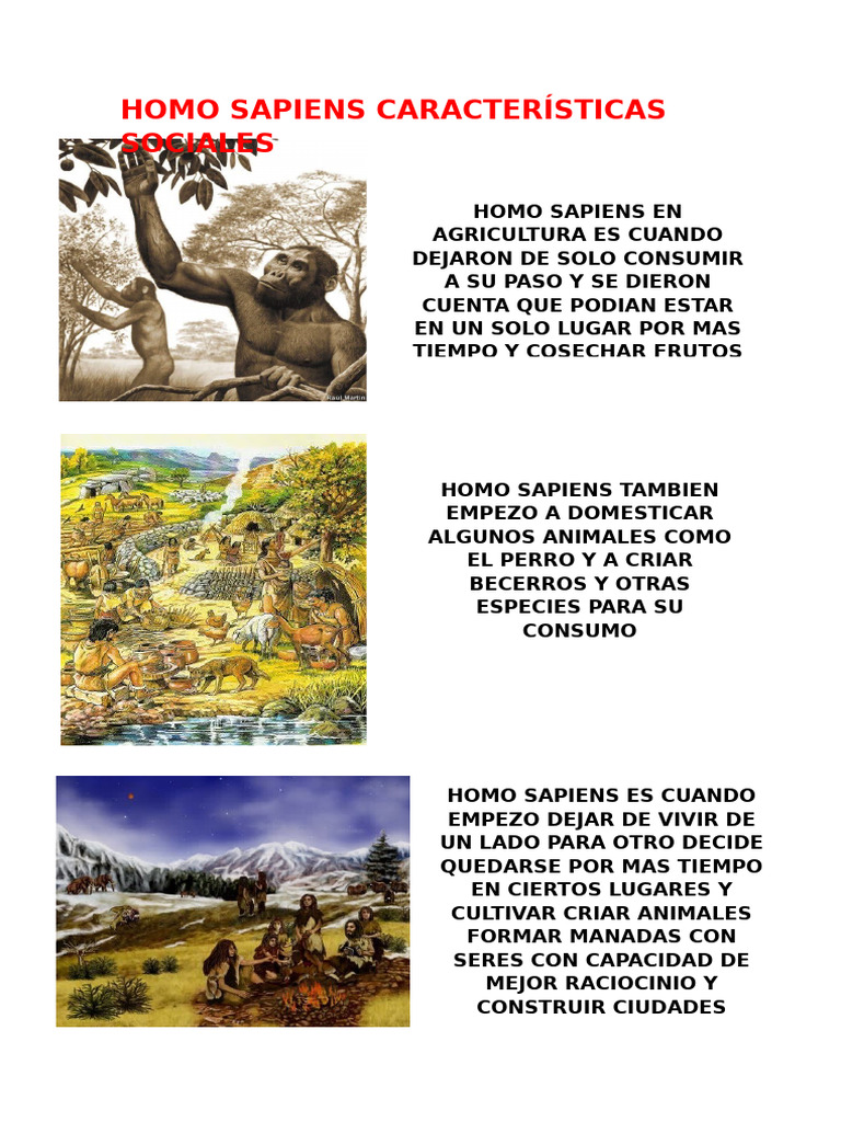 Homo Sapiens Características Sociales | PDF