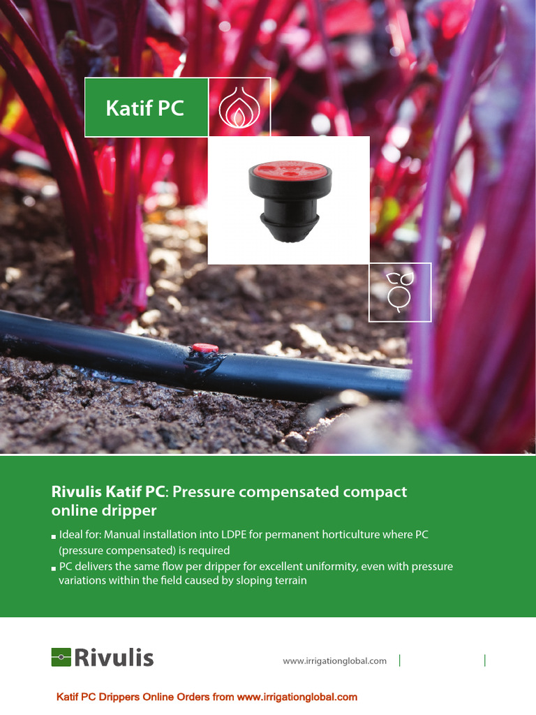 Katif Leaflet | PDF