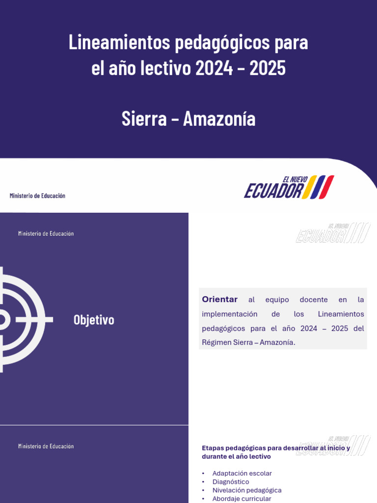 Lineamientos Pedagógicos 2024-2025 | PDF | Plan de estudios | Evaluación