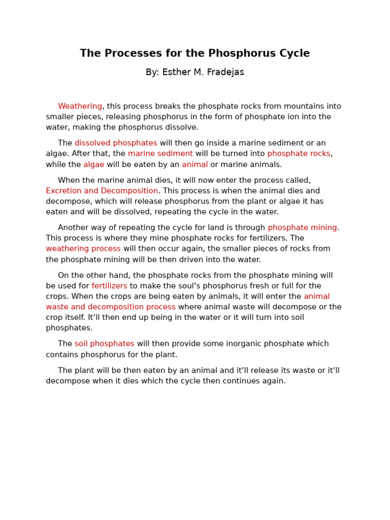 Understanding the Phosphorus Cycle Processes | PDF