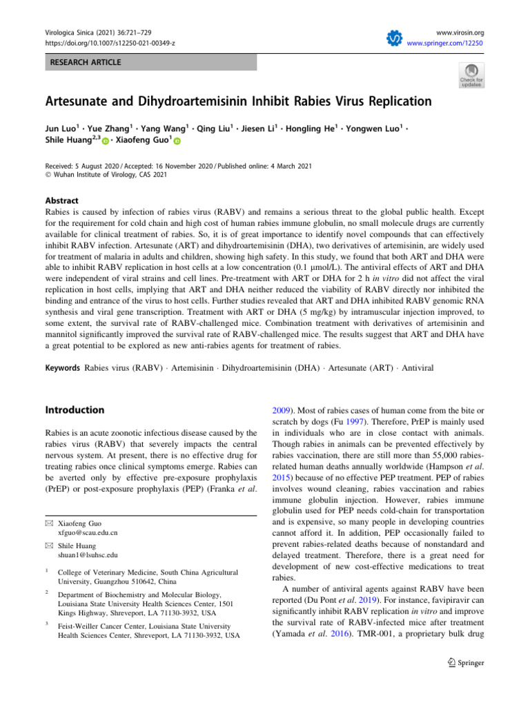 Artesunate and Dihydroartemisinin Inhibit Rabies Virus Replicatio | PDF ...