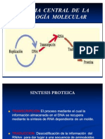 Dogma central de la biología molecular: transcripción, traducción y síntesis proteica