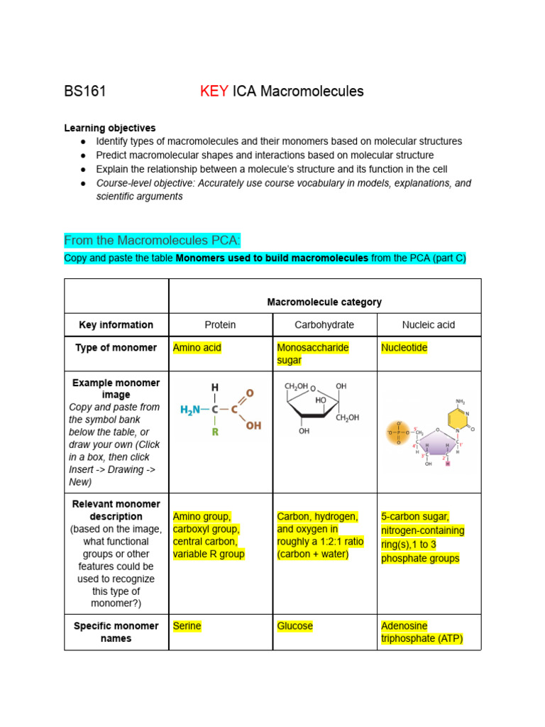 Understanding Macromolecules and Their Functions | PDF | Macromolecules ...