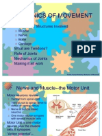 Mechanics of Movement I Joints