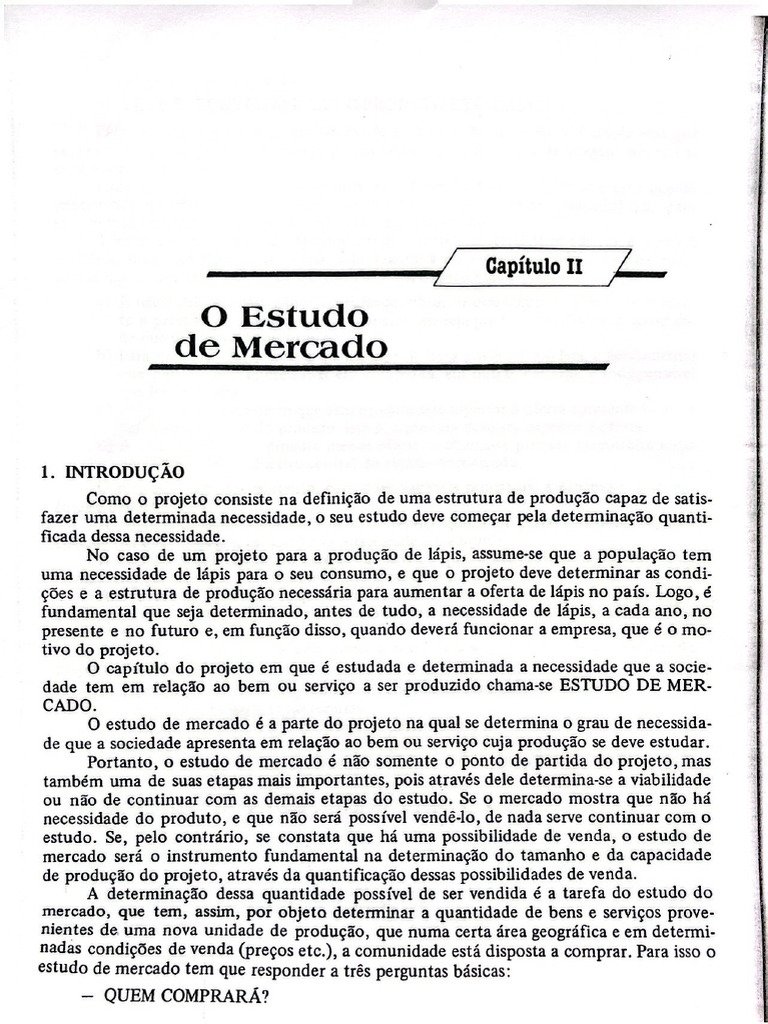 O Estudo de Mercado | PDF
