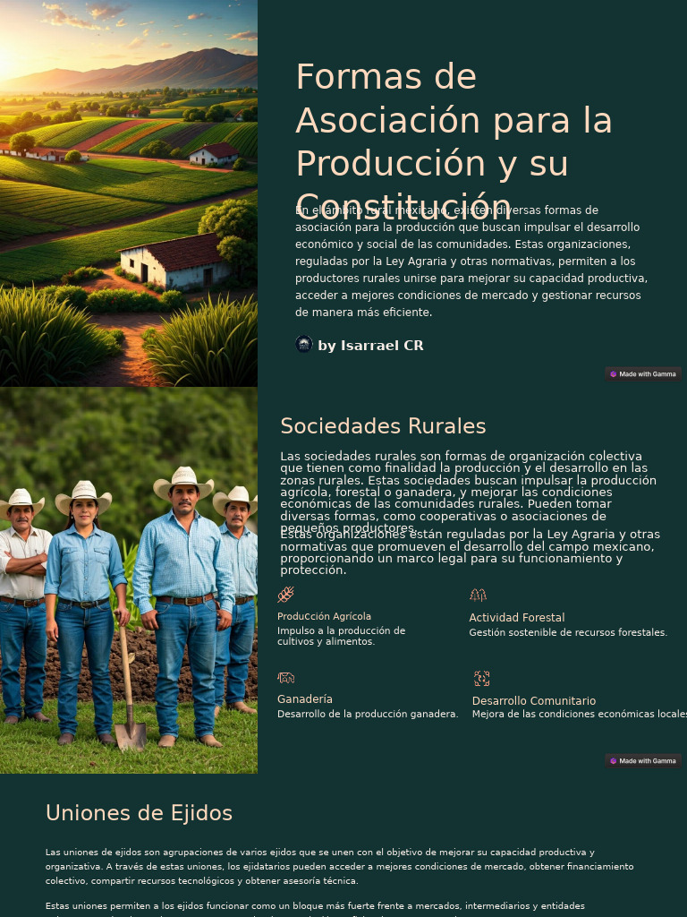 Formas de Asociación para Producción Rural | PDF | Sociedad | Agricultura