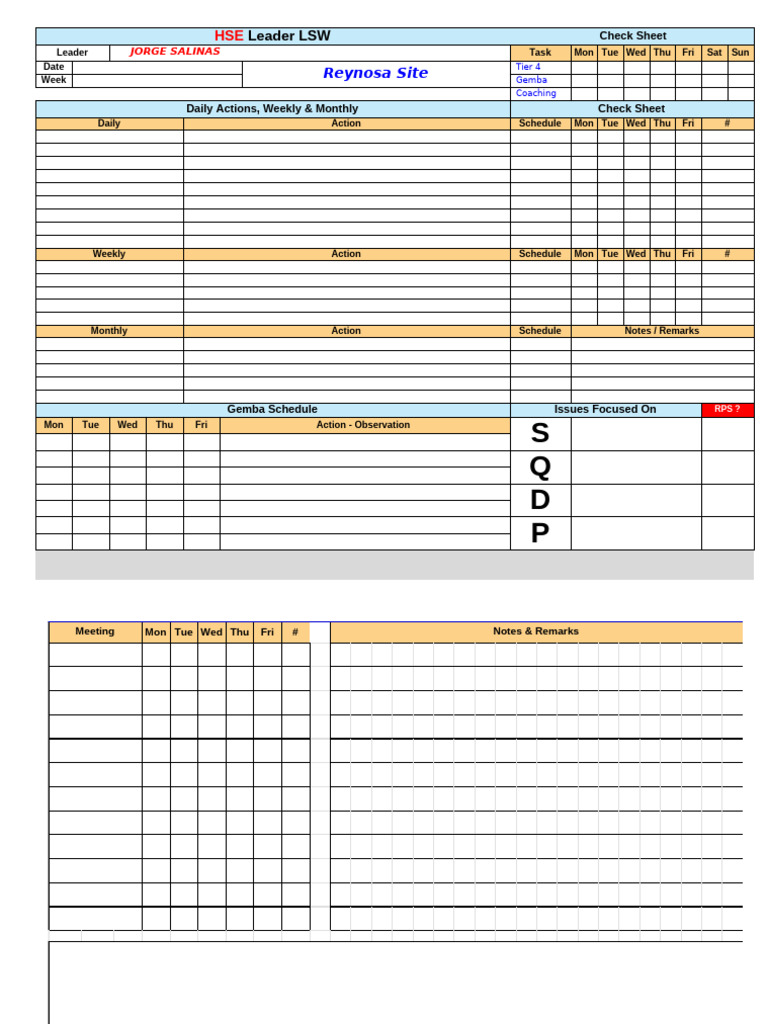Generic LSW Rev 10072024 - HSE | PDF