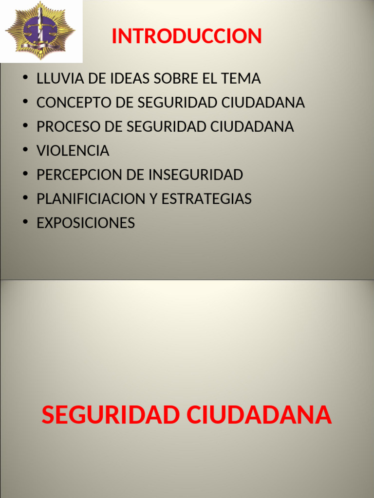Estrategias para la Seguridad Ciudadana | PDF | Violencia | Valores