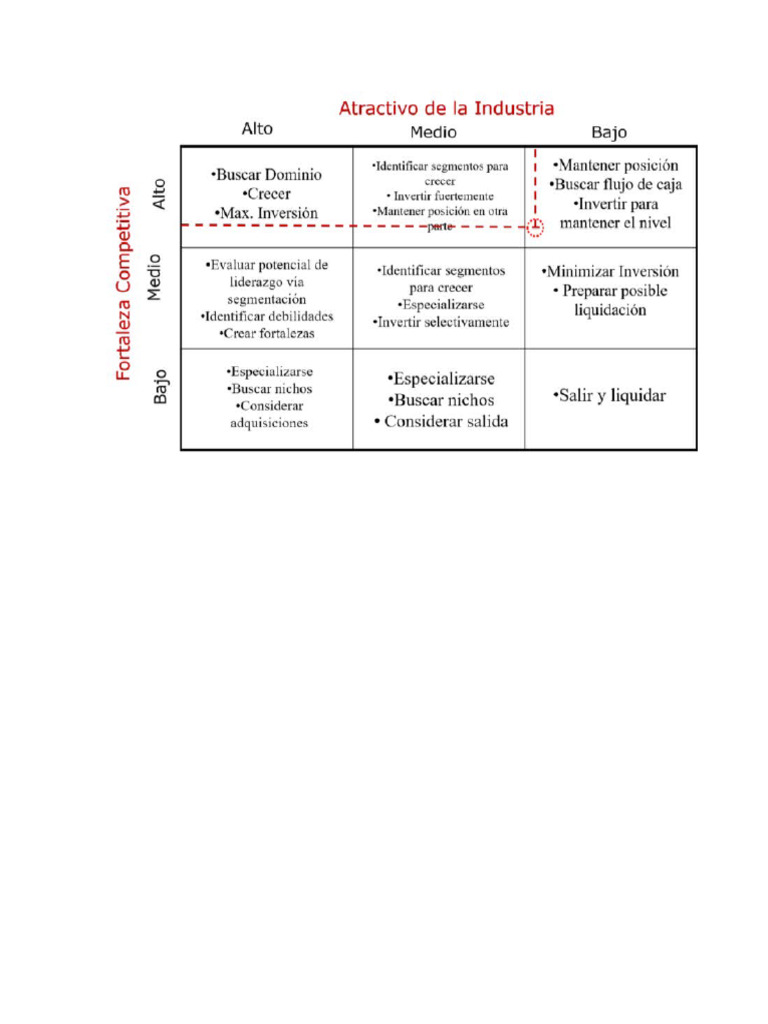Matriz Posicionamiento | PDF
