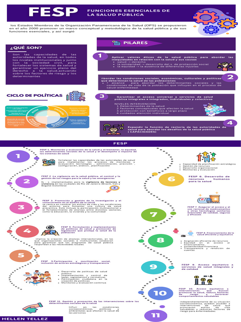 Infografía Fesp | PDF | Salud pública | Planificación