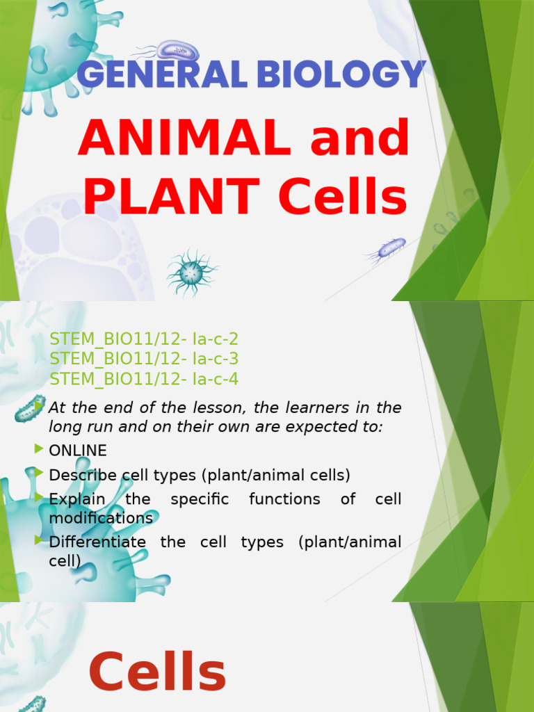 Animal vs. Plant Cells Explained | PDF | Cell (Biology) | Prokaryote
