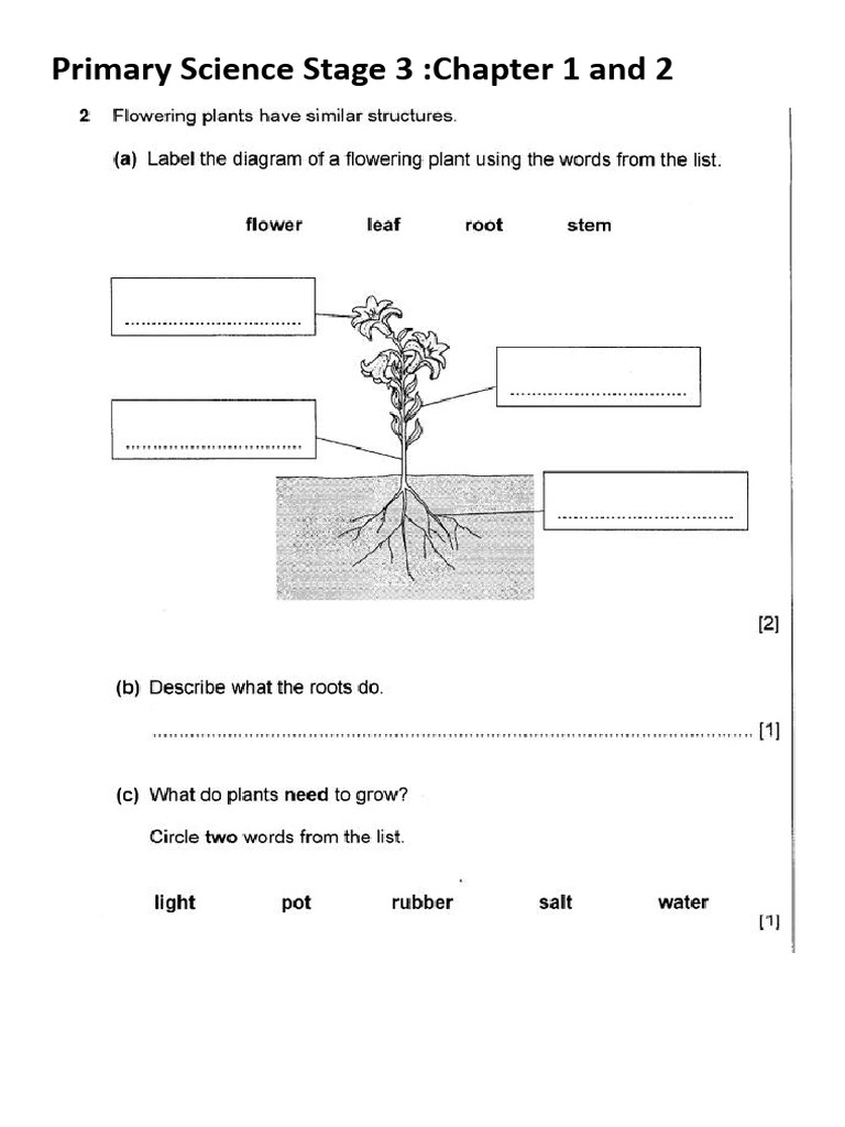 Science Unit1 2 | PDF