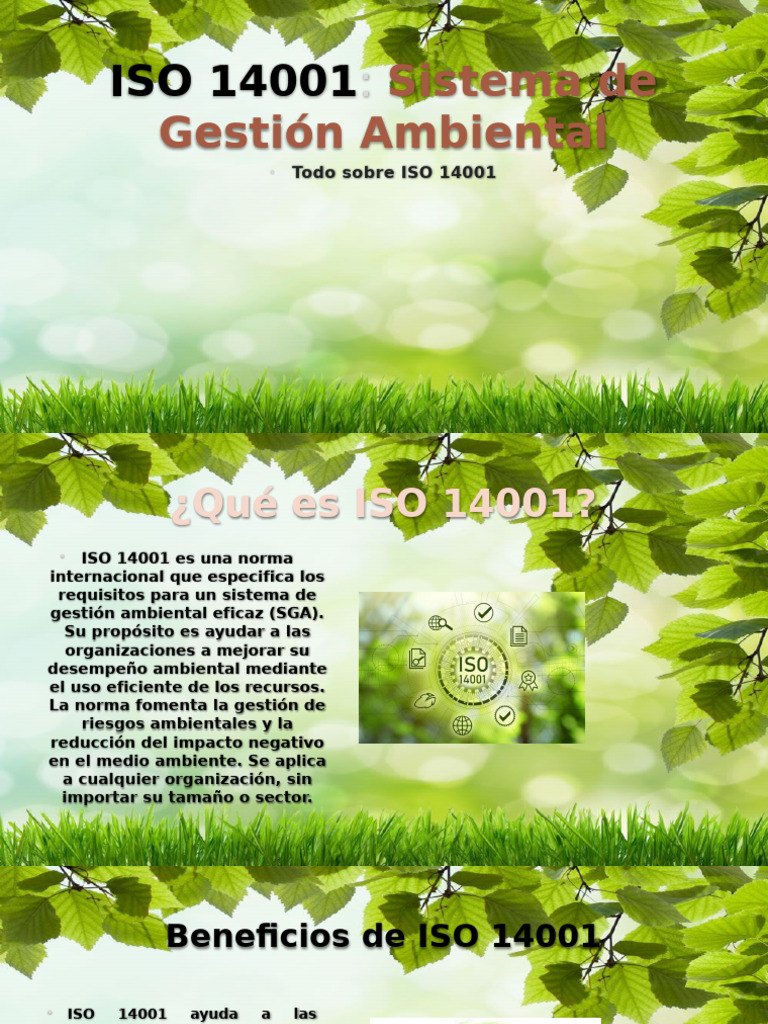 Iso 14001 | PDF | Entorno natural | Business