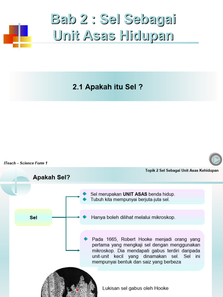 Sel: Unit Asas Kehidupan dan Fungsinya | PDF | Sains & Matematika