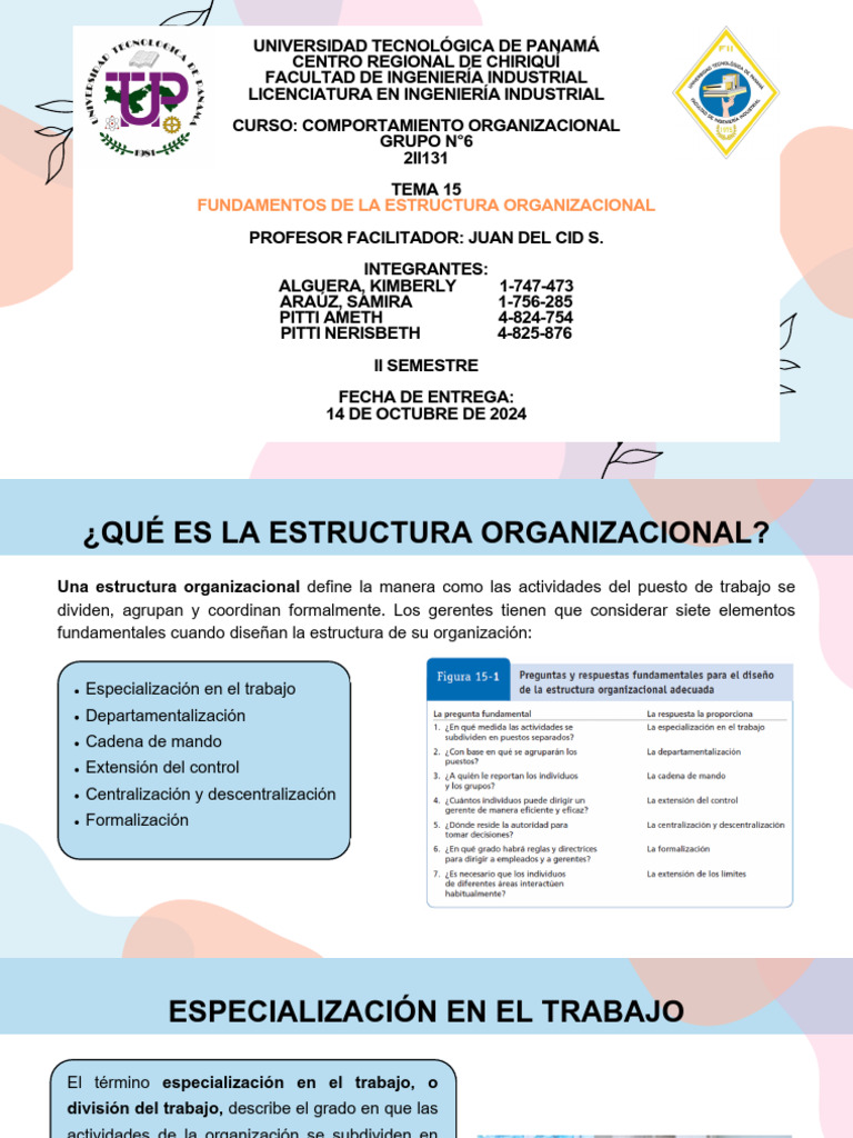 Pwp-Tema 15-Fundamentos de La Estructura Organizacional | PDF | Toma de ...