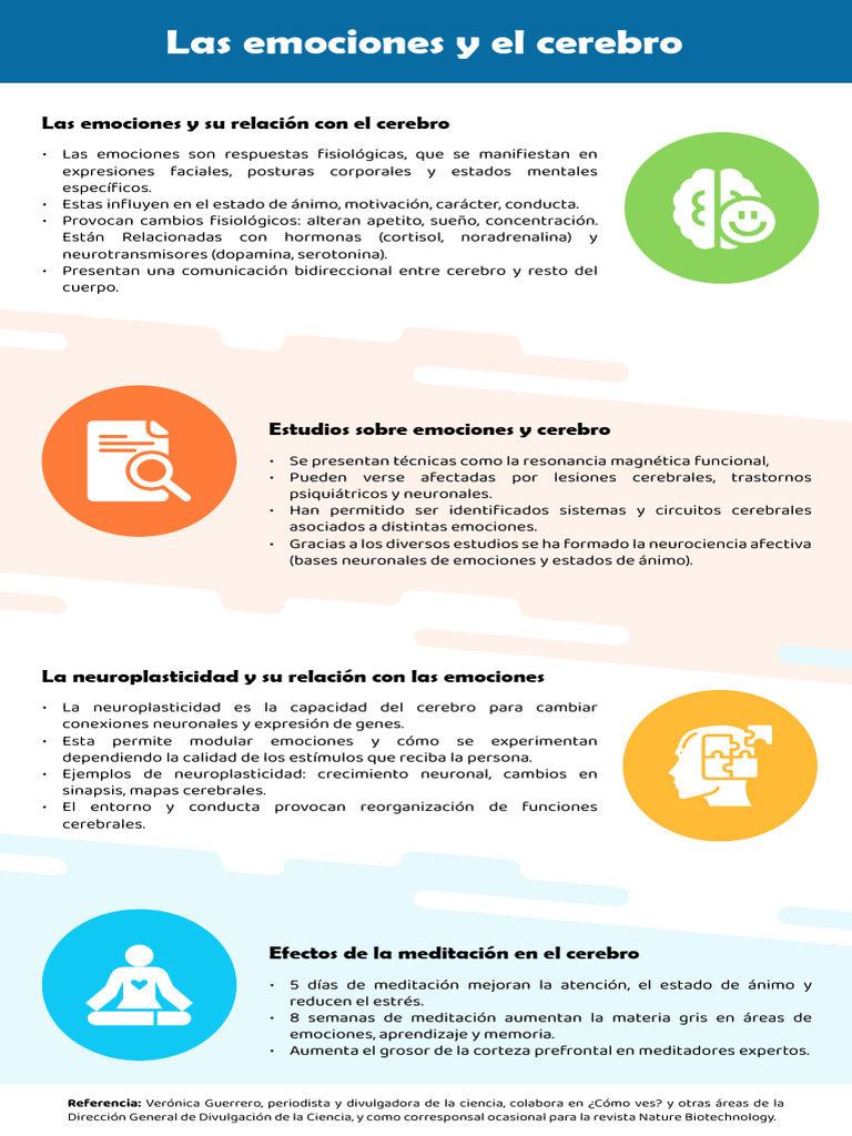 Las Emociones y El Cerebro | PDF