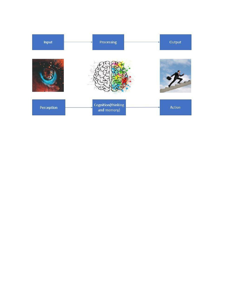 Pb8mat+visual Perception | PDF