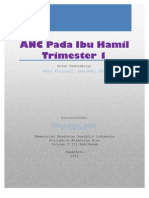 ANC Pada Ibu Hamil TM 1