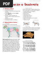 Metameria: Segmentação em Animais | PDF