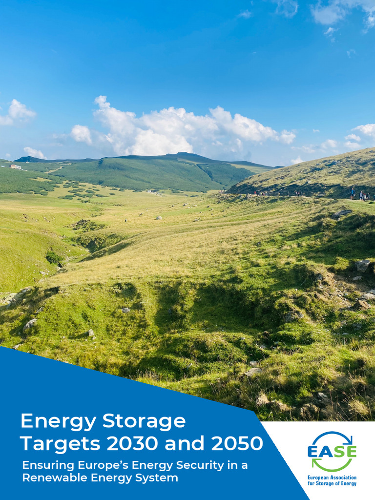 EU Energy Storage Targets for 2030 & 2050 | PDF | Renewable Energy ...