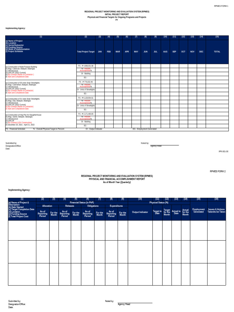 RPMES Form 1: Initial Project Report | PDF | Business