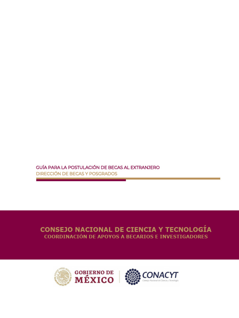 Guia Postulacion EXT | PDF | Plan de estudios