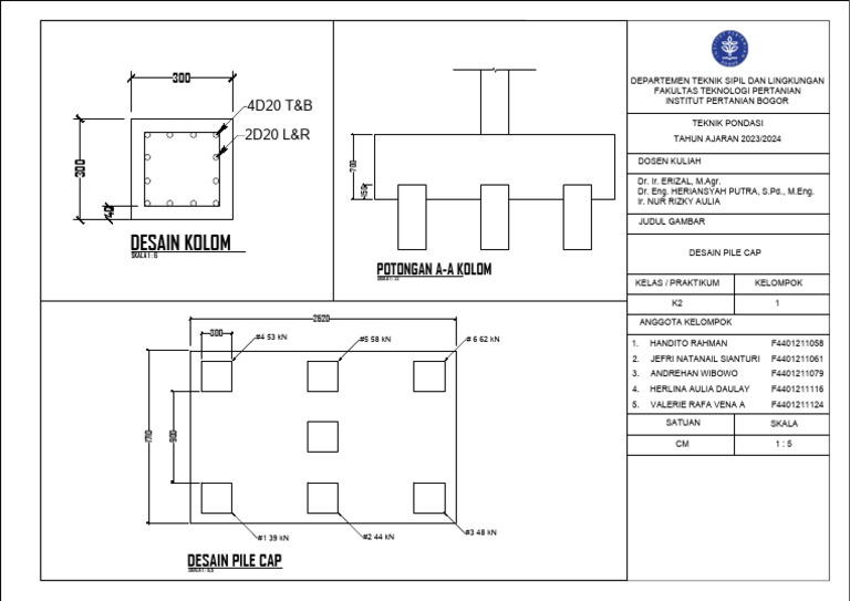 Desain Kolom & Pile Cap IPB | PDF