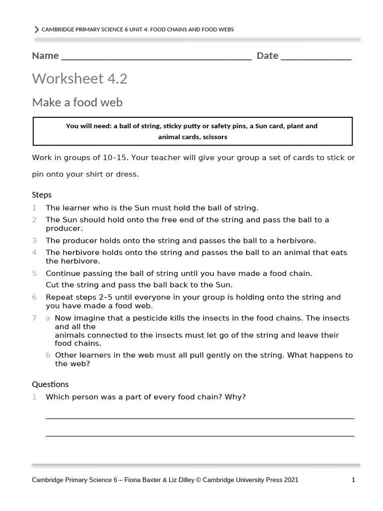 Year 6 Food Chains and Webs Worksheet | PDF | Foods | Food Web