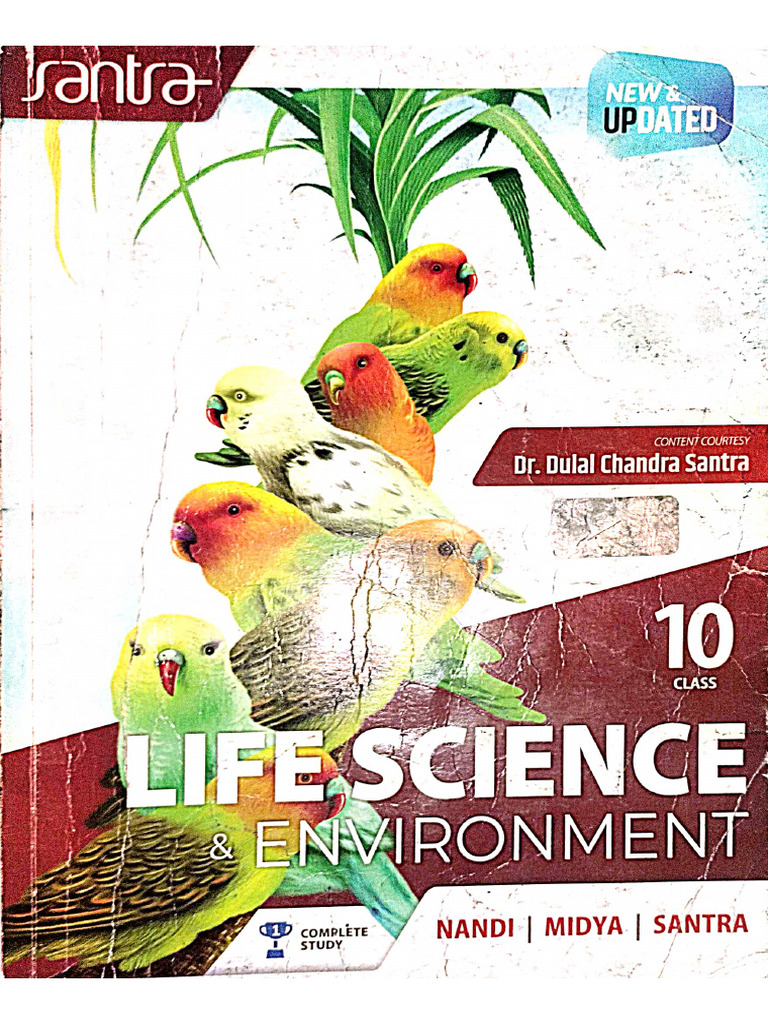 Class 10 | PDF