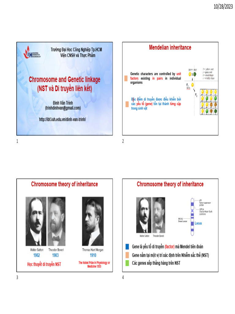 Chapter 4 - Linkage Inheritance | PDF