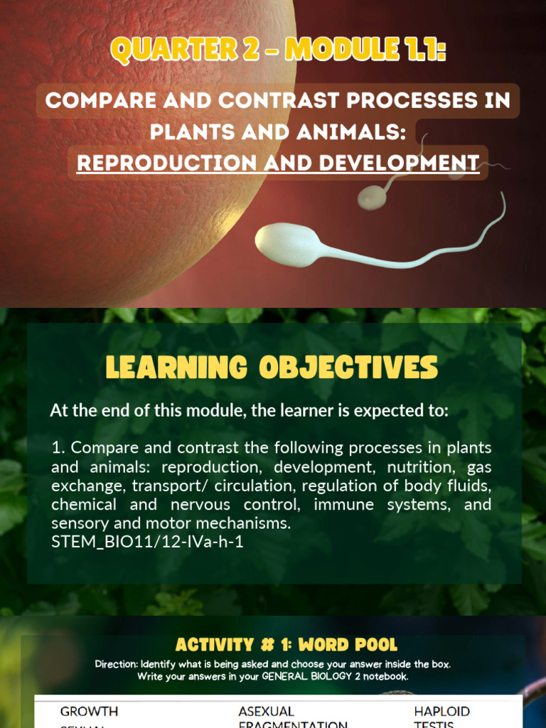 Esses in Plants and Animals Reproduction and Development | PDF ...